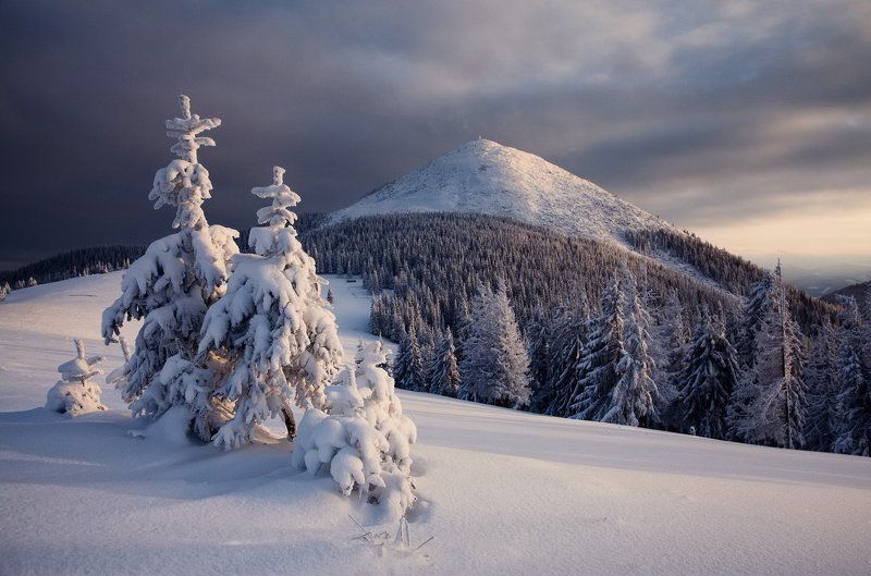 Полонына Хом\'якивphoto preview