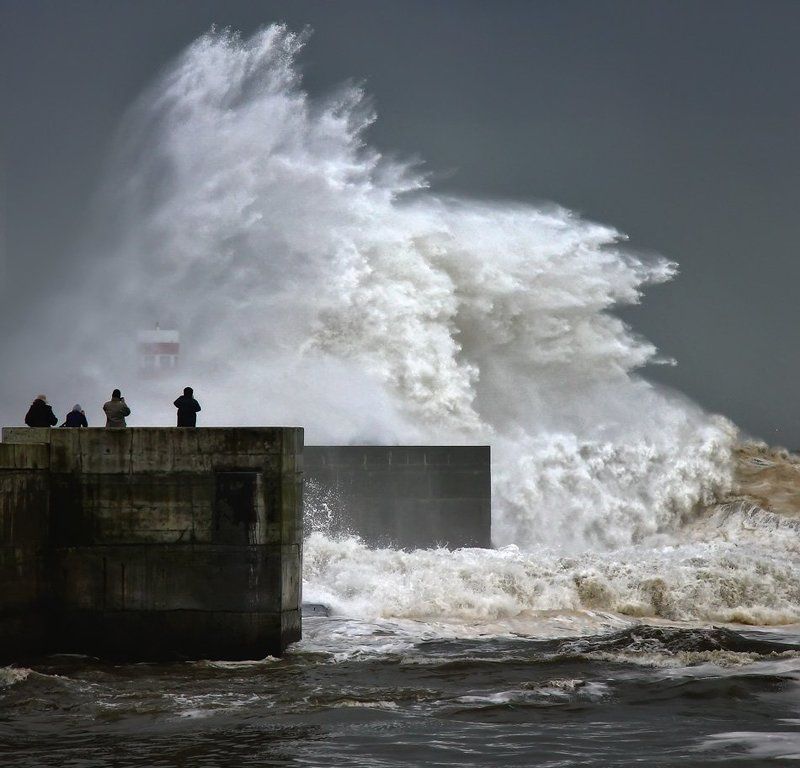 the spectacle of the wavesphoto preview