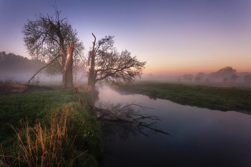 morningphoto preview