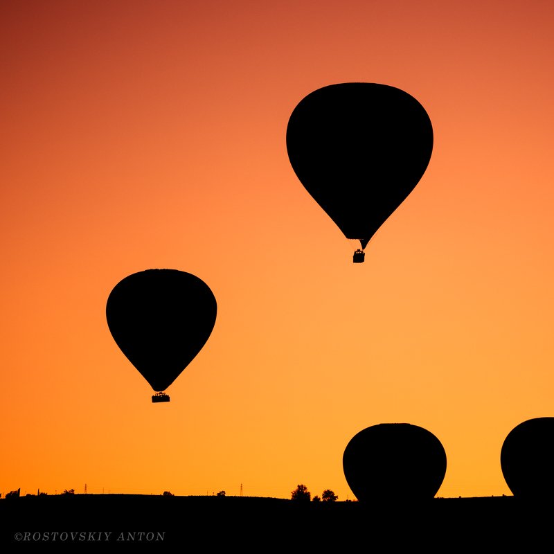 Фототур, Турция, инжир Летающий инжир photo preview