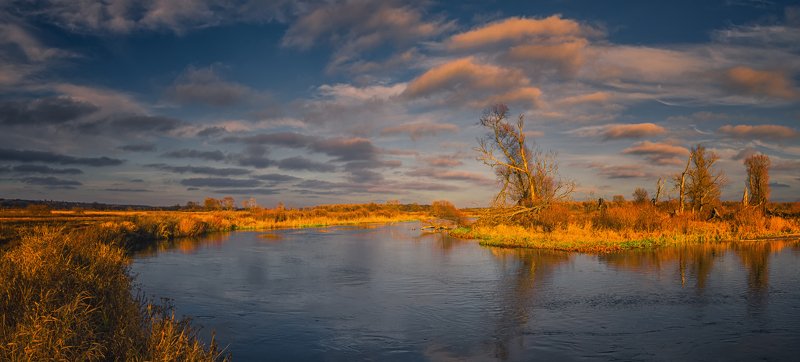 Осень Пейзажи Природа Река Закат Солнце Россия Облака Небо Тишина Деревья Путешествия  Тихий ноябрьphoto preview