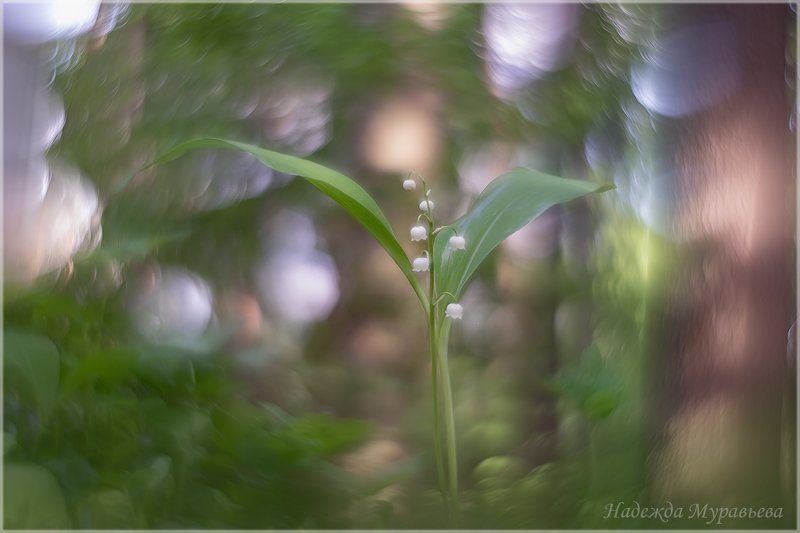 Балеринаphoto preview