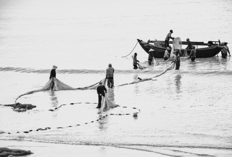 a COLLECTORphoto preview