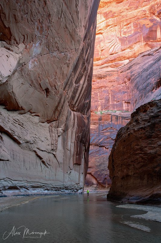 США, Аризона, Юта, каньон, щелевой, слот, пустыня, река, скала, отражение,  Небоскребы, небоскребы, а я маленький такой....photo preview