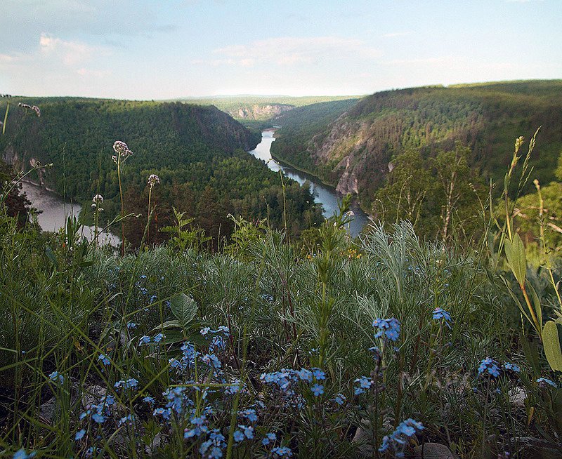 пейзаж башкирия шульган -таш незабудки Незабудки Шульган-Ташаphoto preview