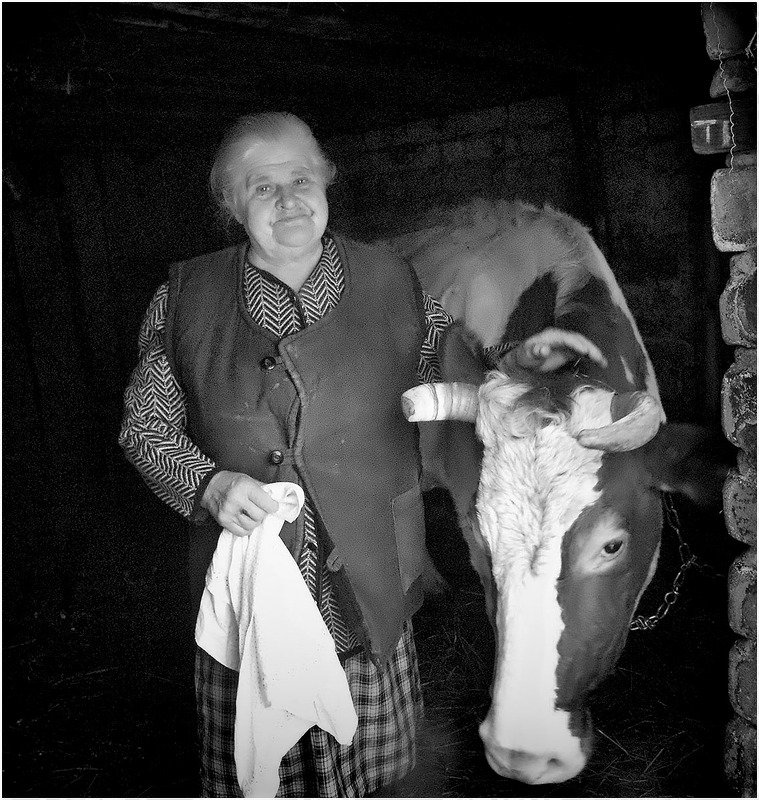 село Бурёнушкаphoto preview