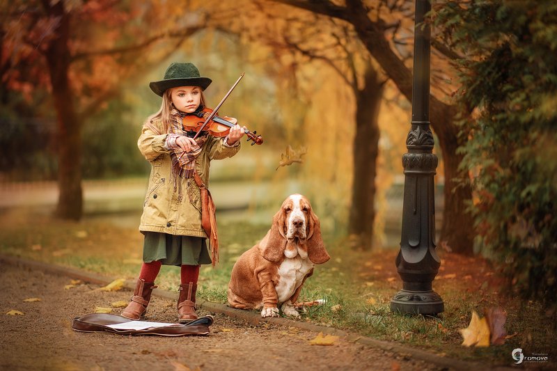 Девочка, скрипка, собака, бассет хаунд, осень, музыка, уличный музыкант Скрипачка фото превью