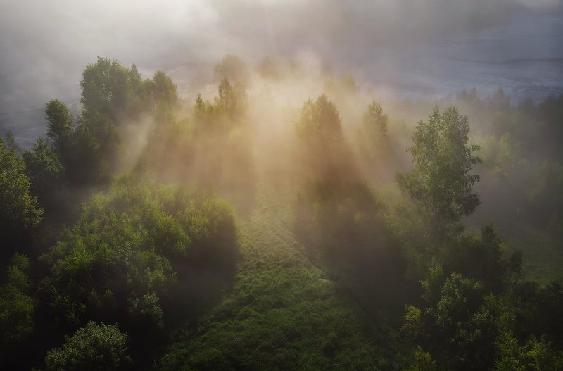 summer, trees, fog, green, sunrise, travel, nature, light, romania, morning, landscape Light Explosionphoto preview