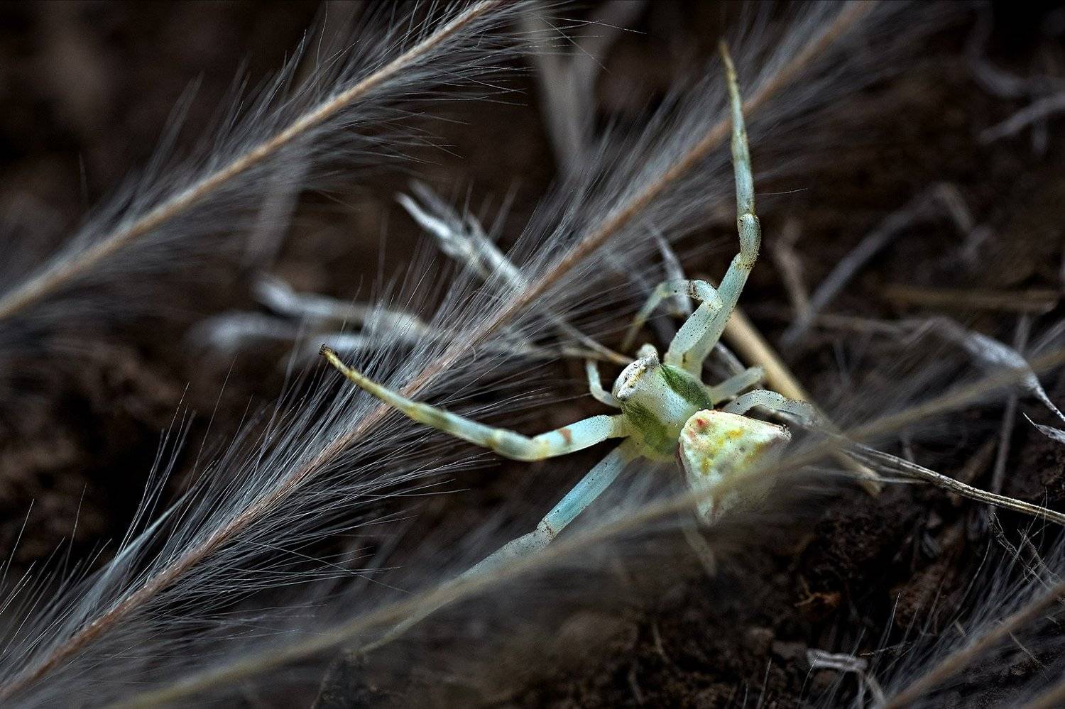 южный урал,оренбургская область, орск, новотроицк,, Качурин Алексей