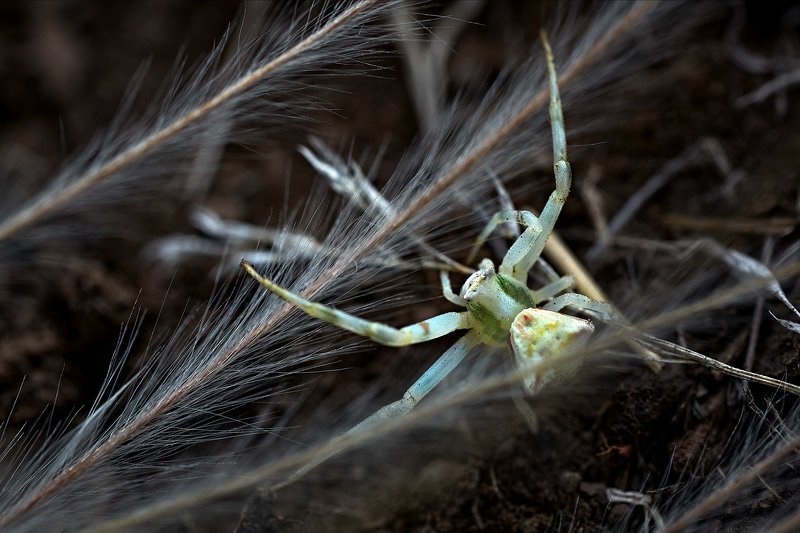 южный урал,оренбургская область, орск, новотроицк, ***photo preview