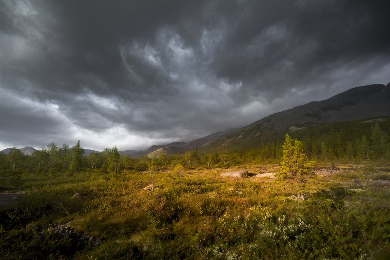 хибины, горы, дождь photo preview