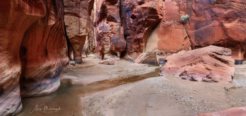 США, Аризона, Юта, каньон, щелевой, слот, пустыня, река, скала, отражение,  Каньон реки Парайя - 2photo preview