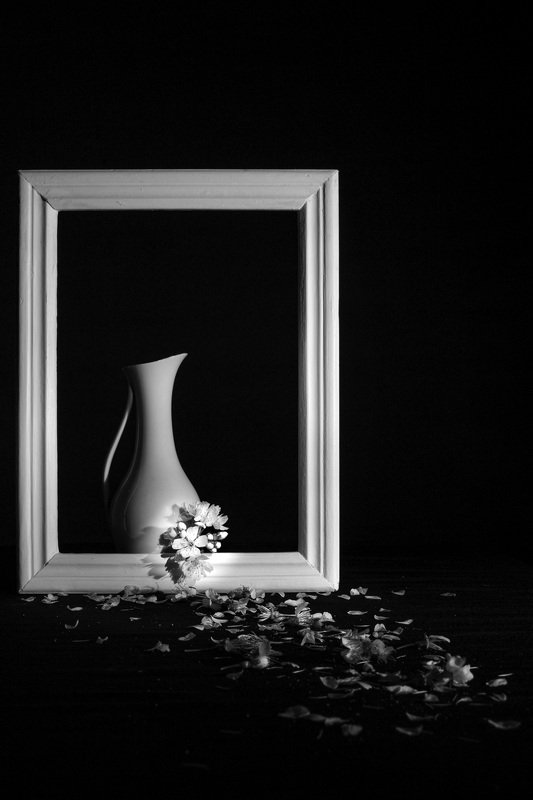 Still life in Black and Whitephoto preview