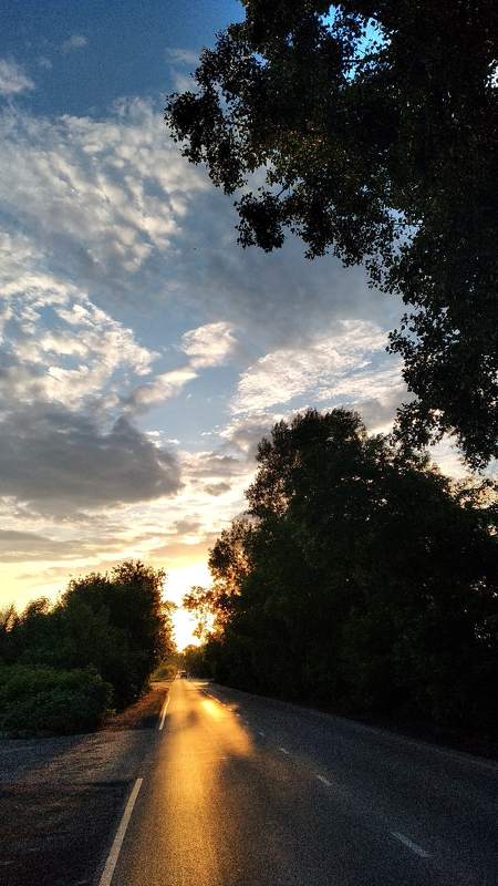 Дорога к Солнцуphoto preview