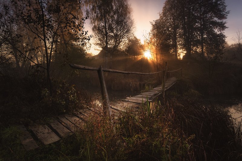 The Bridgephoto preview