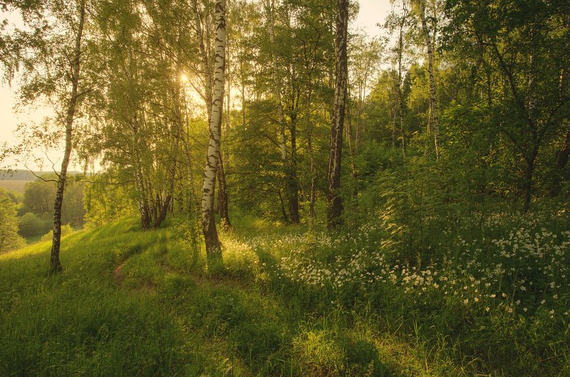 Июньphoto preview