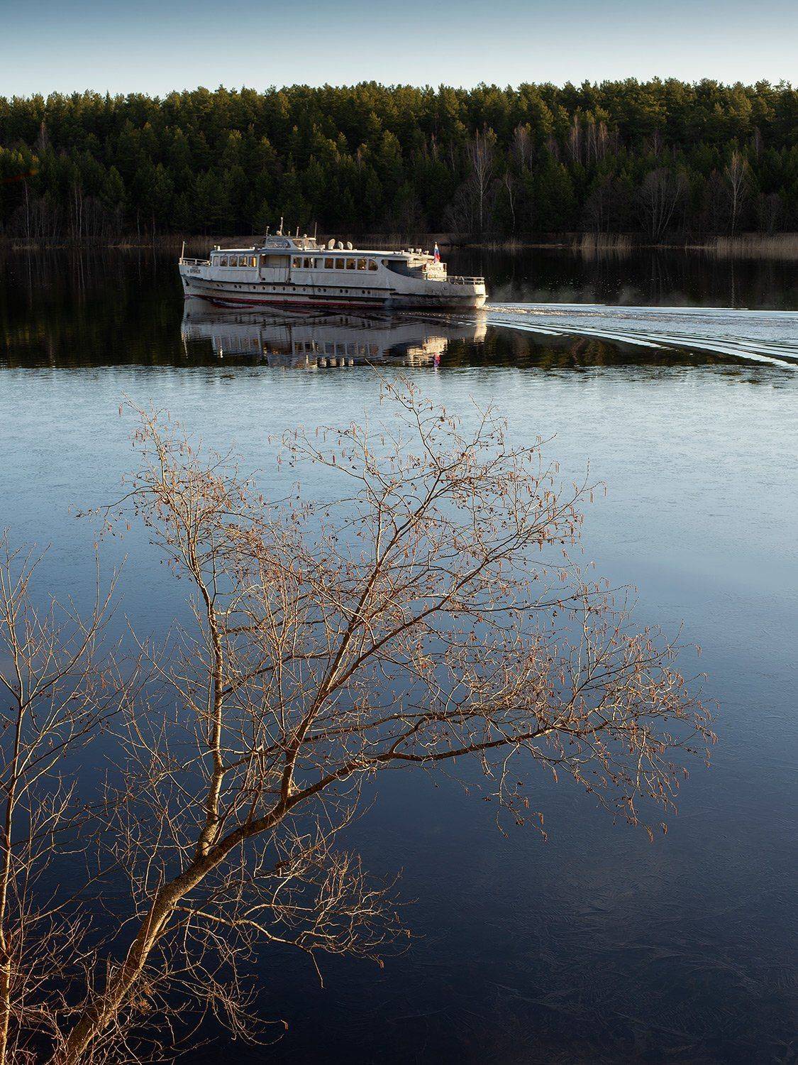 Уходящий. Автор: Федотов Антон , Федотов Антон