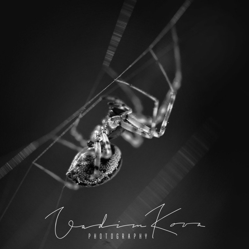 За тонкой работойphoto preview