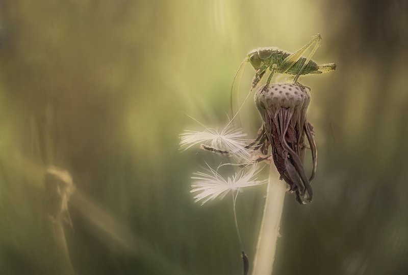 ..летоphoto preview