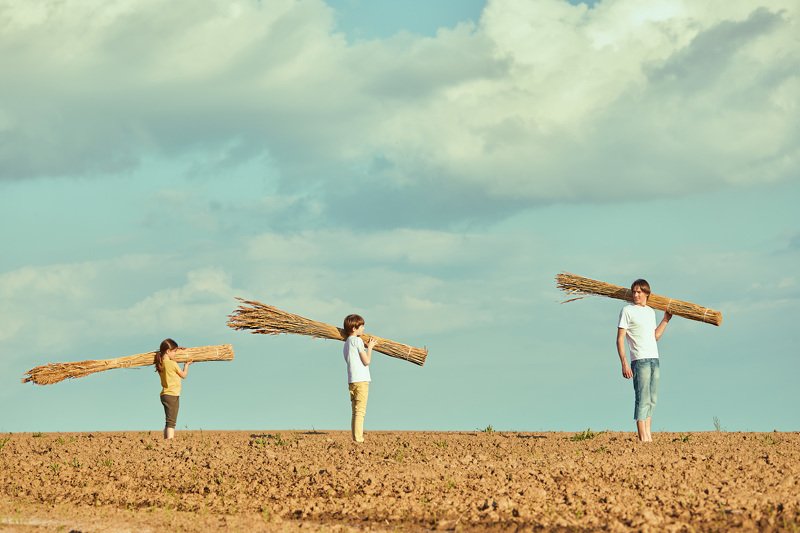 минимализм Дом на дереве. Крышаphoto preview