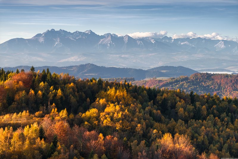 #forest #mountains #autumn #sunset #nature #panoramic #landscapes Panorama of High Tatra mountains in Polandphoto preview