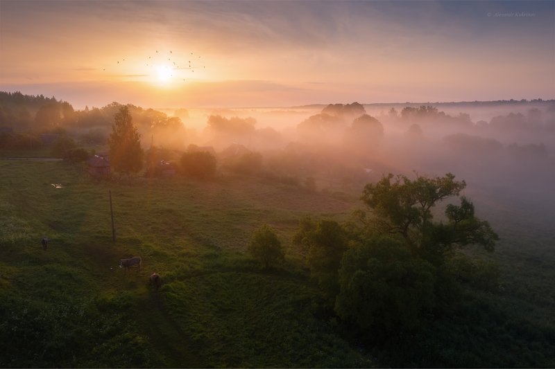 угра,утро,пейзаж,рассвет,лето,туман,солнце,лучи Утро в Российской глубинке...photo preview