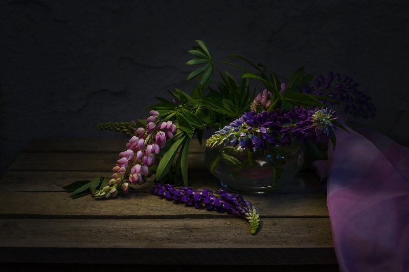 Люпиныphoto preview