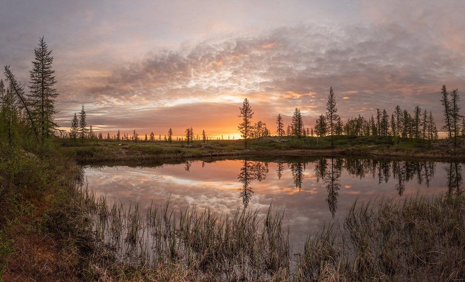 Летний вечер. Автор: Андрей Снегирёв лето, закат, небо, озеро, отражение, сибирь, ЯНАО, север, арктика, Андрей Снегирёв