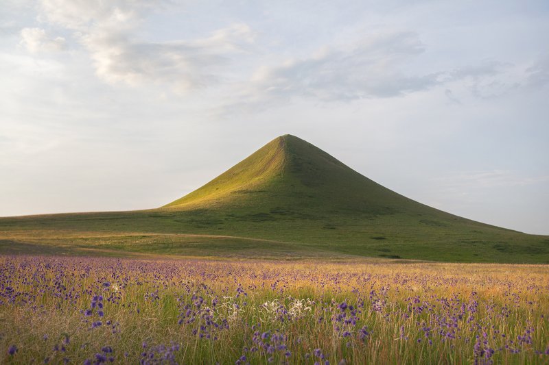 *** фото превью