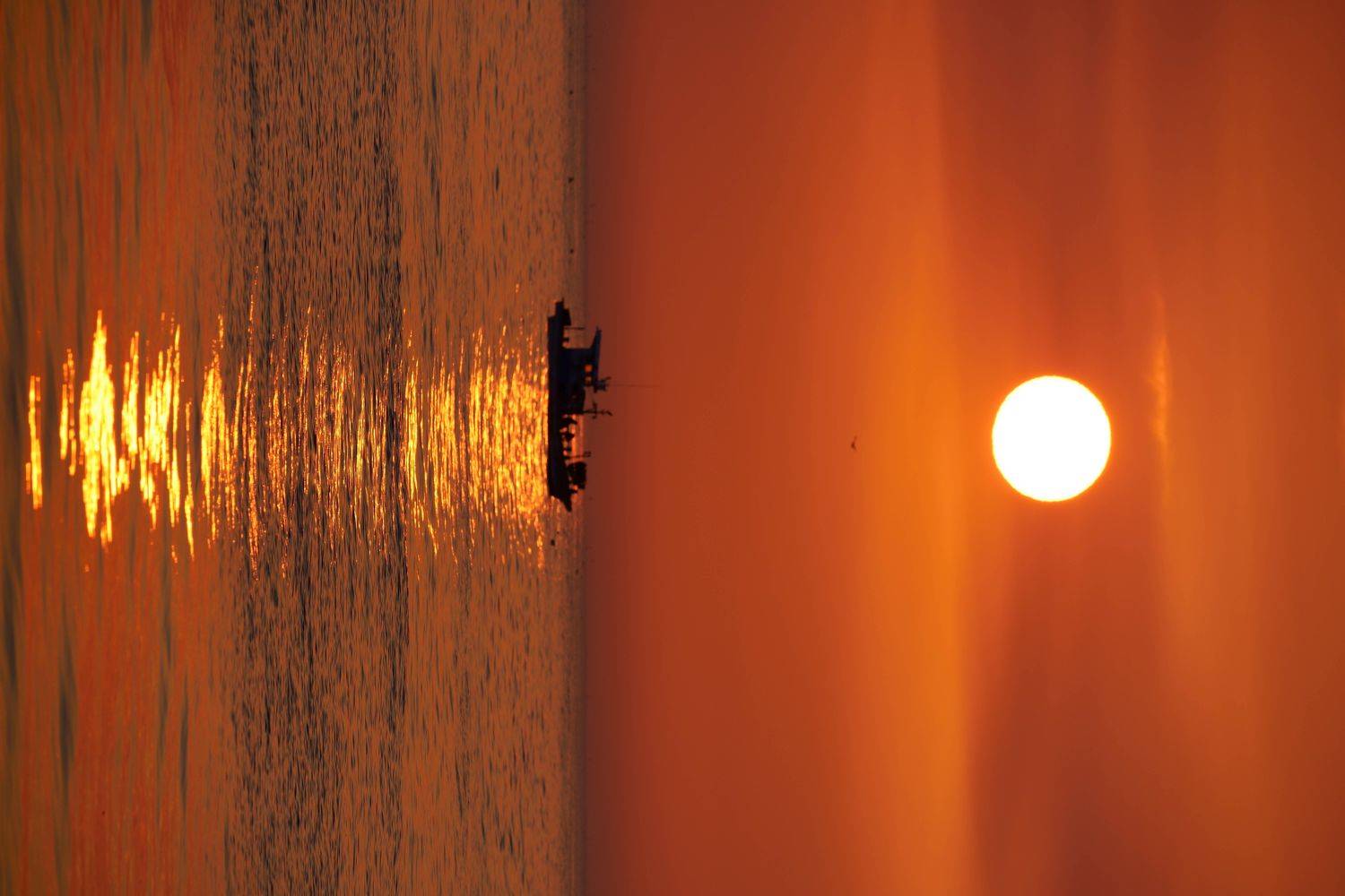 south korea, gyeongsangbukdo,sunrise,morning,sea,seascape,horizontal,sunlight,clouds, silhouette, fishing boat,seagull,pohang, Shin