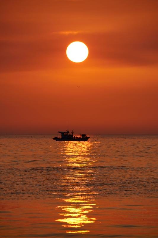 south korea, gyeongsangbukdo,sunrise,morning,sea,seascape,horizontal,sunlight,clouds, silhouette, fishing boat,seagull,pohang Sun, Seagull, Fishing boatphoto preview