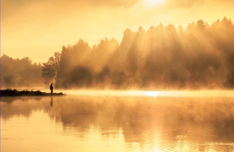 пейзаж, озеро, рассвет, закат, туман, утро Лесное озероphoto preview