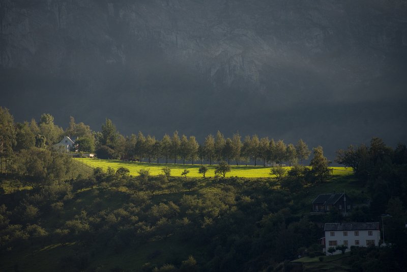 природа, пейзаж, норвегия, путешествия, флом, фьорд, красота, поезд Flåmphoto preview