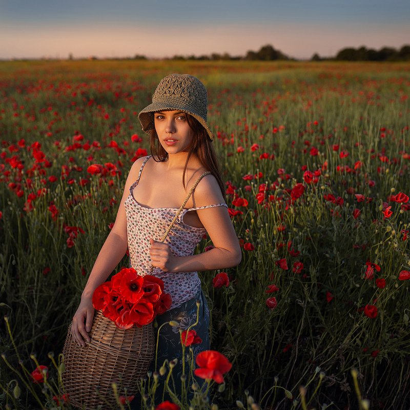 Закат на маковом полеphoto preview