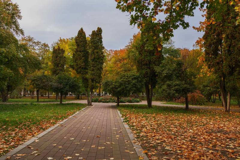 вечер в старом паркеphoto preview