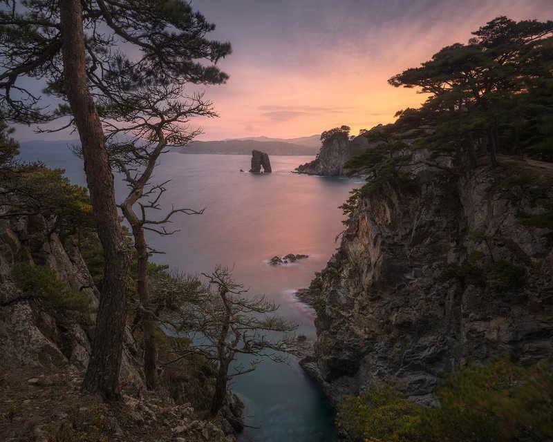 The Pines Archphoto preview