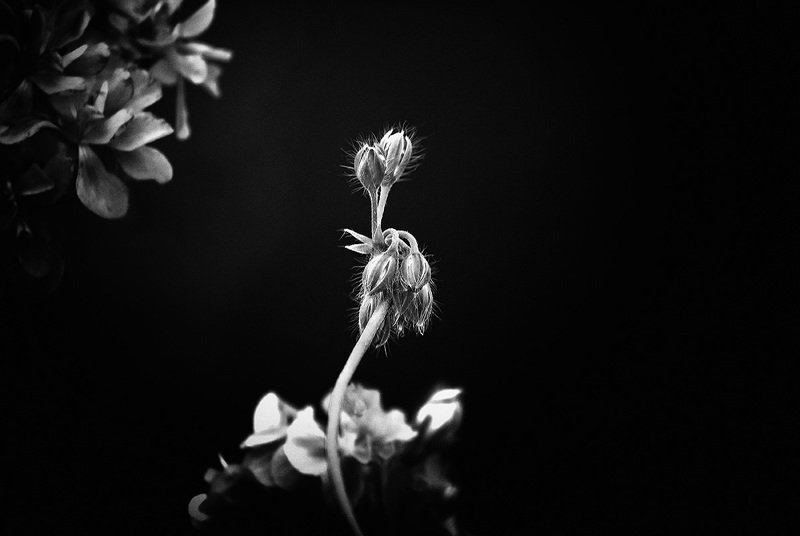 Июнь. В паркеphoto preview