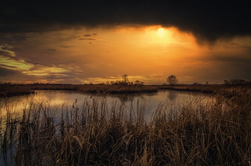 Нет людей На улице Природа отражение вода Облако - Небо Озеро Небо Сценики - Природа Закат солнца Спокойная сцена спокойствие Пейзаж - Декорации Красота в природе дерево Негородская сцена Темные небесаphoto preview