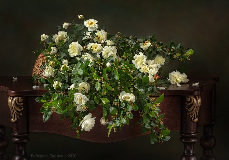 шиповник,цветы,натюрморт С цветущим шиповником на консолиphoto preview