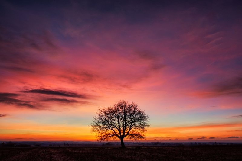 colors, sunrise, nature, beautiful, travel, lights Good morningphoto preview