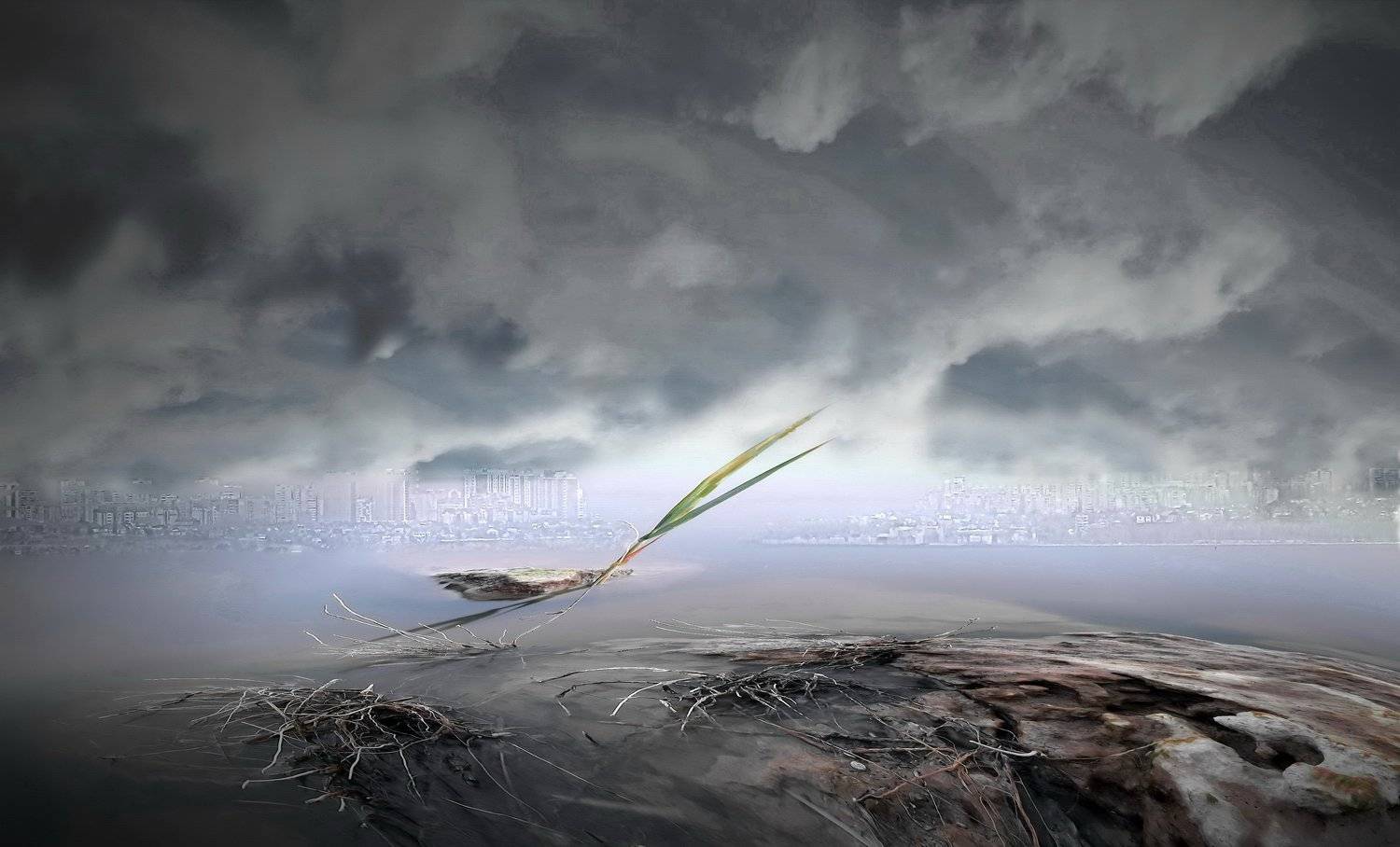 одесса, Сергей Кошелев