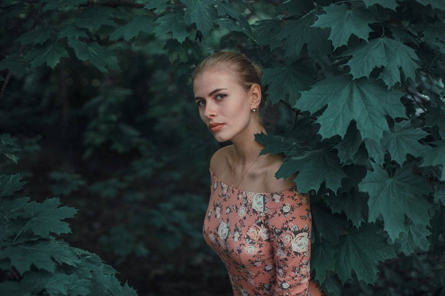 Лиза. Автор: Дима Задорожный , Дима Задорожный