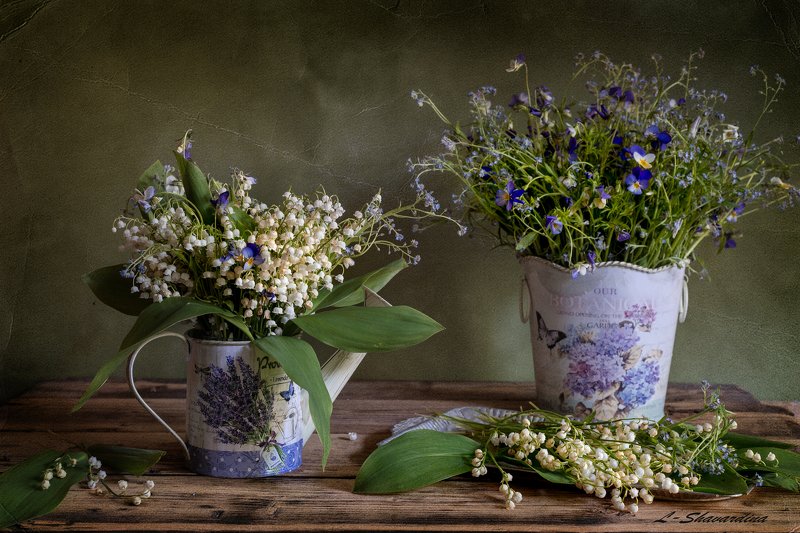 Майские цветыphoto preview