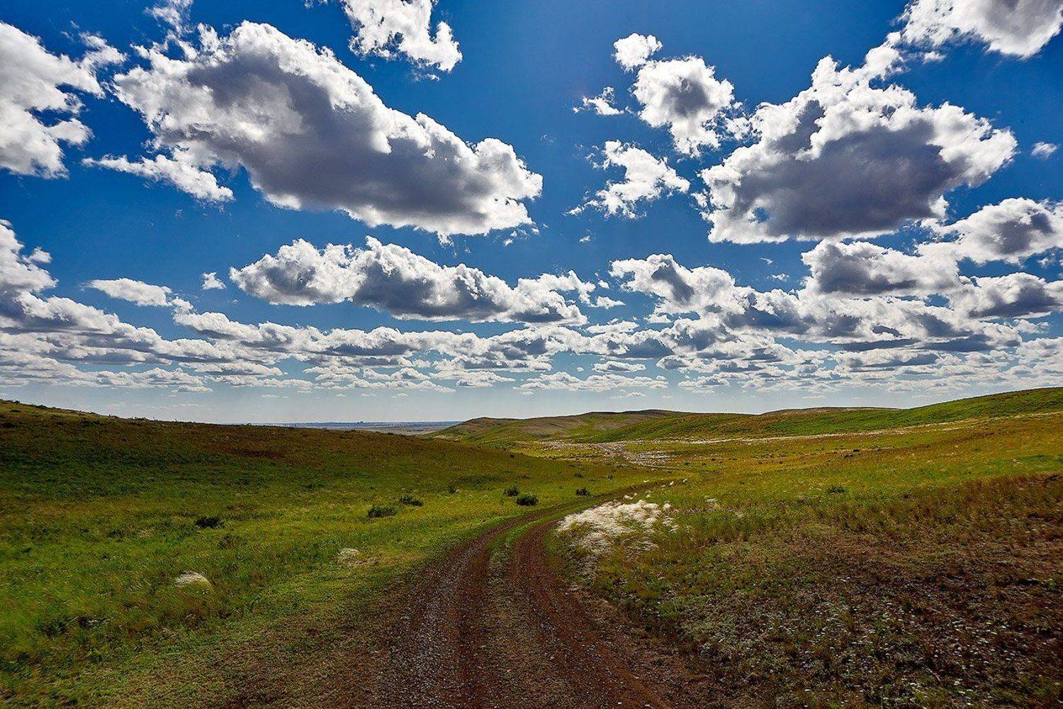 южный урал,оренбургская область, орск, новотроицк,, Качурин Алексей
