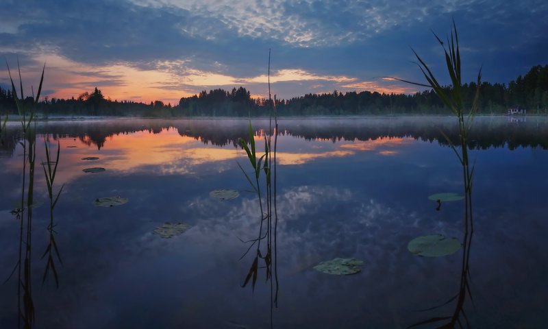 питер, ленобласть, белаяночь, луга В белую ночь . . .photo preview