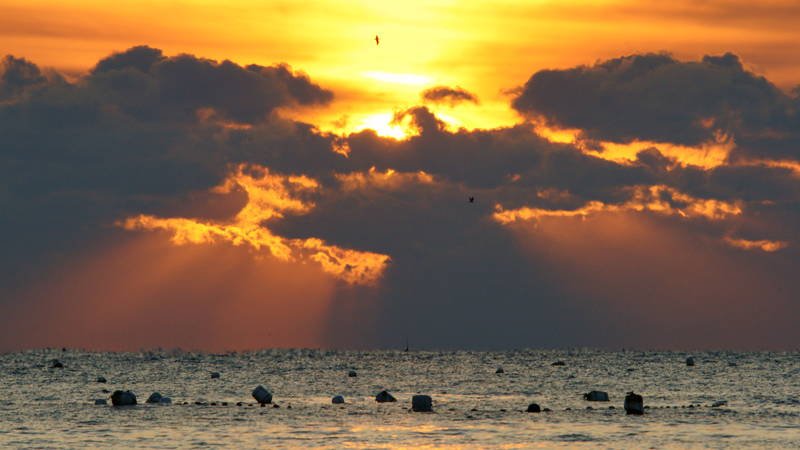 south korea,gyeongsangbukdo,ulsan,sunrise,winter,sea,seascape,horizontal,sunlight,cloud,waves,colorful,dramatic Sunrise in the cloudsphoto preview