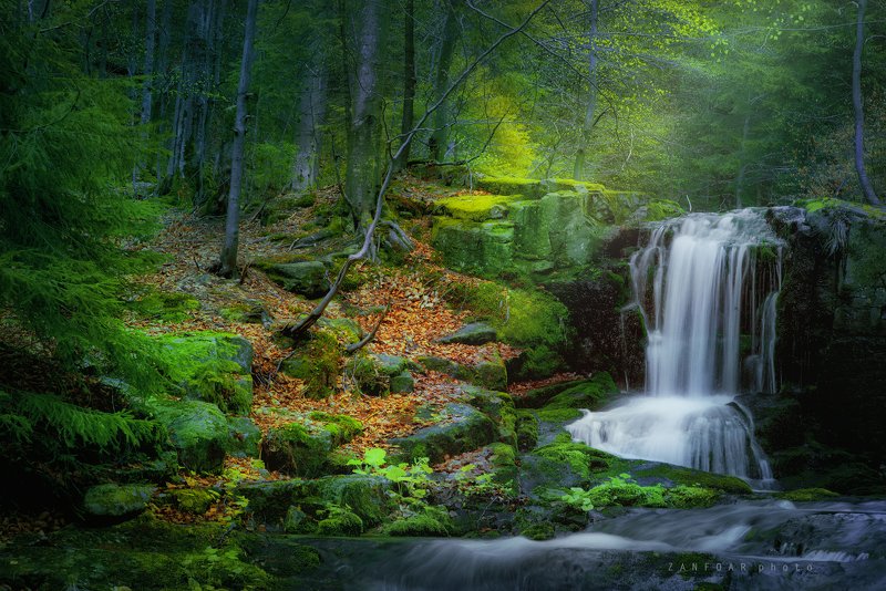 водопады,водопад,zanfoar,czech republic,czechia,moravia,bohemia,чехия,nikon d750 водопады II.photo preview