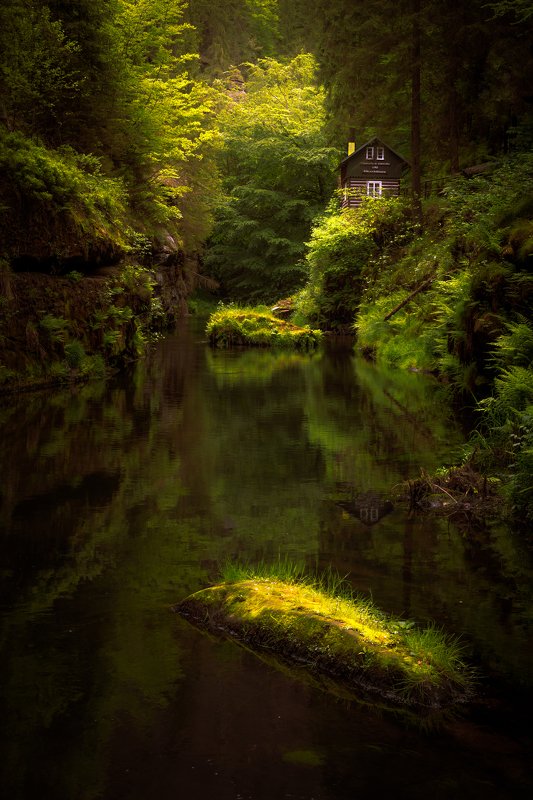 landscape, spring, forest, river, gorge, gorges, rocks, trees, water, reflection, cottage, house, czech republic, green Homephoto preview