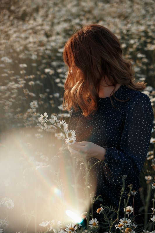 Ромашкиphoto preview