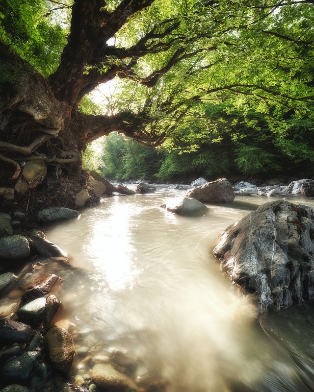 горная река, рассвет, пейзаж, кавказ, сочи Мзымта до начала временphoto preview